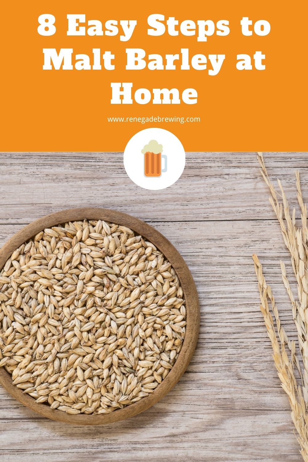 8 Easy Steps to Malt Barley at Home 1