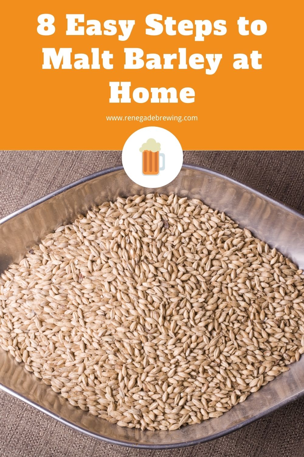 8 Easy Steps to Malt Barley at Home 2