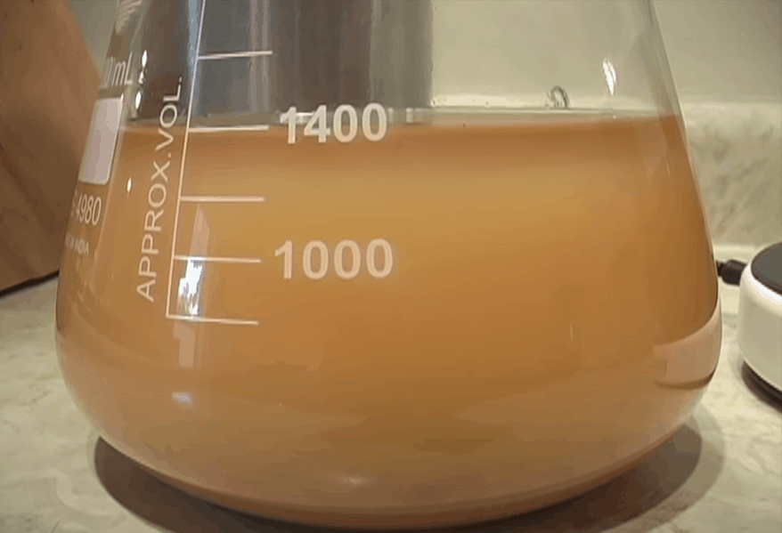 Decide whether you need a yeast starter
