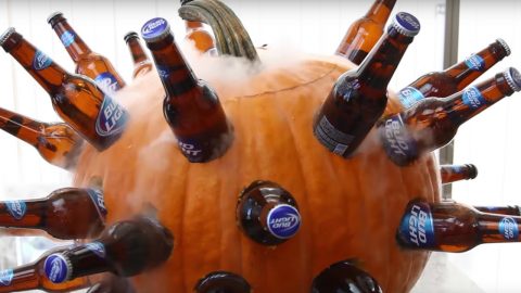 How To Make Your Own DIY Pumpkin Beer Cooler