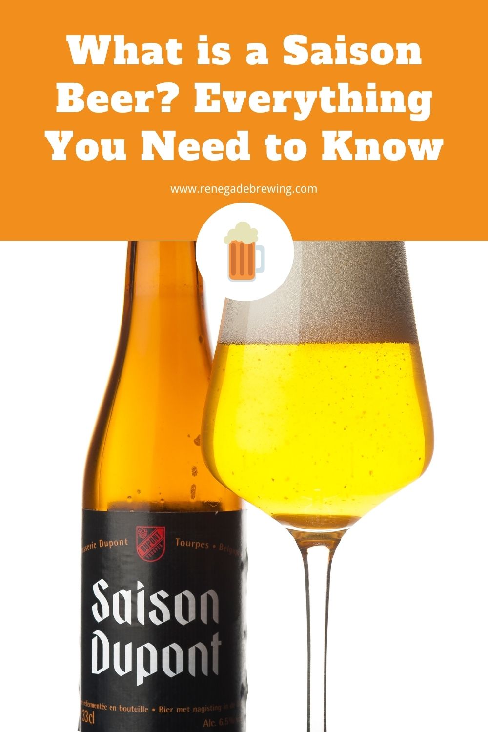 What is a Saison Beer Everything You Need to Know 2
