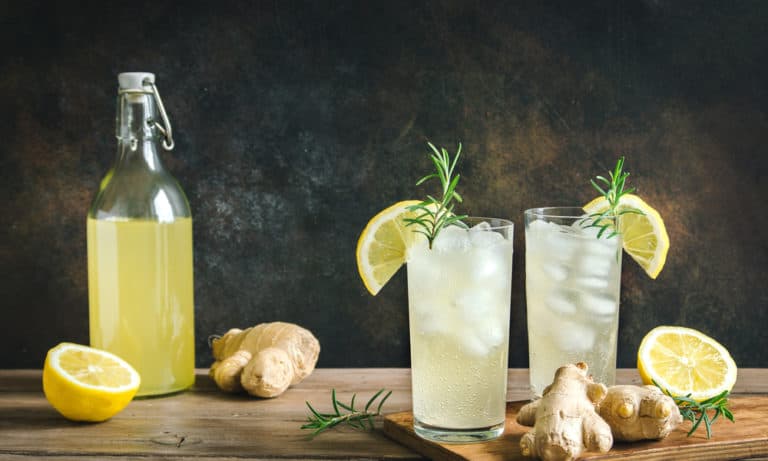 15 Best Ginger Beer Brands You May Like