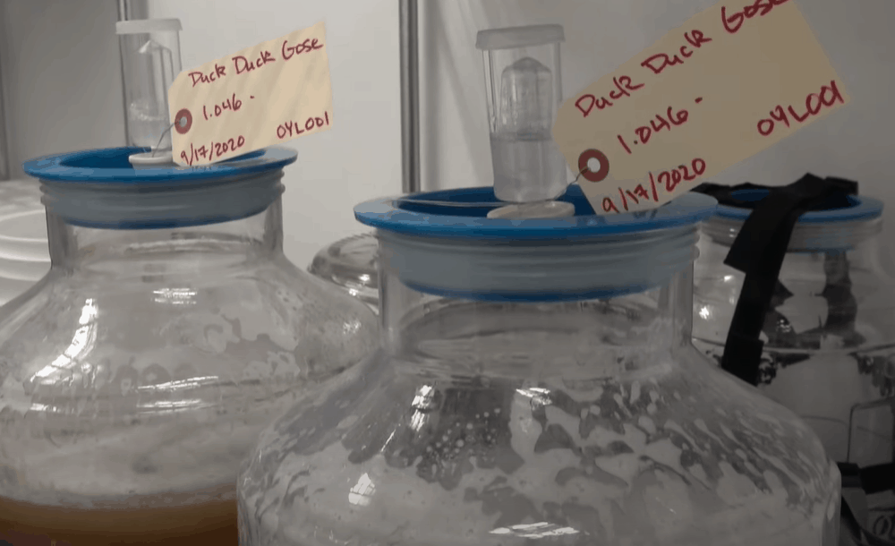 Store the beer for fermentation