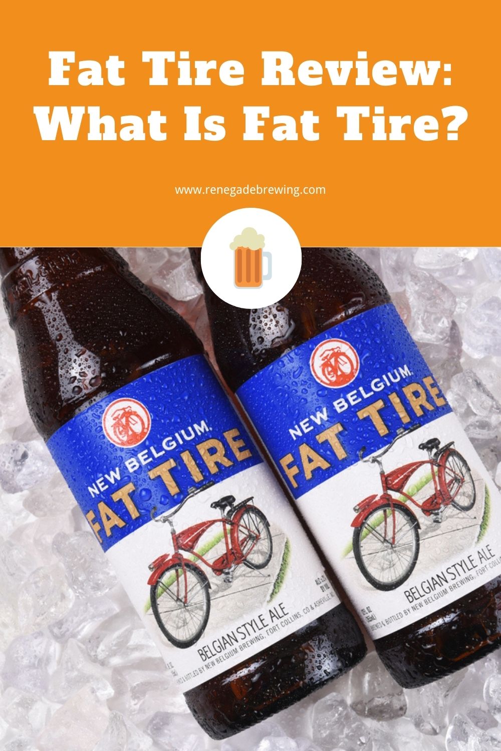 Fat Tire Review What Is Fat Tire 1