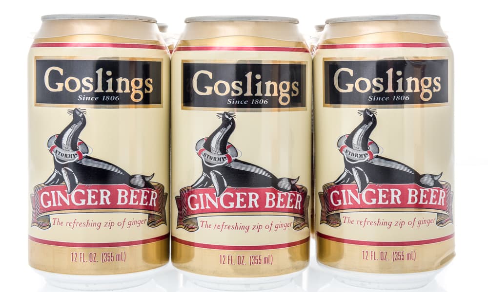 Ginger Beer Health Benefits