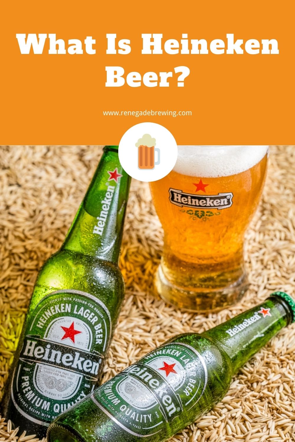 What Is Heineken Beer? (History, Ingredients & Style)