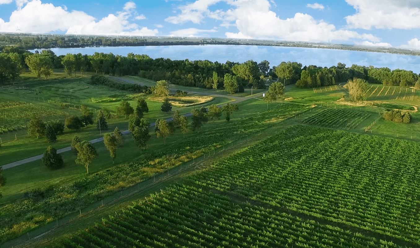 Round Lake Vineyards & Winery